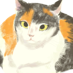 通りすがりの三毛猫